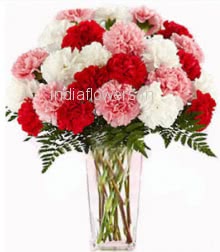 25 Mixed Carnations