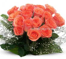 Valentine Orange Roses